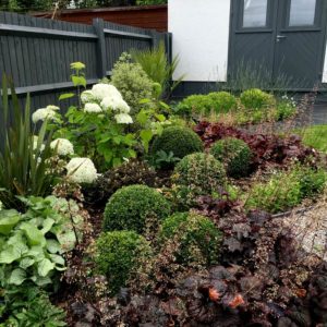 hunter-gardens-case-study-8-6