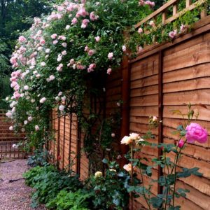 hunter-gardens-services-walls-fencing-trellis-work-1