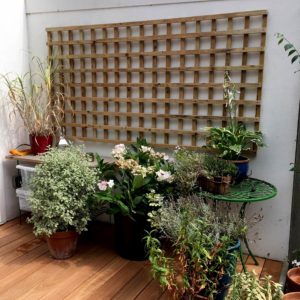 hunter-gardens-services-walls-fencing-trellis-work-7